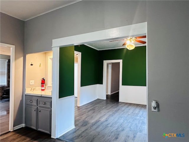 kitchen featuring dark wood-type flooring, gray cabinets, ceiling fan, and ornamental molding