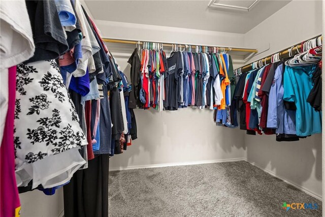 1103 Sugar Brook Dr, Temple, TX 76502 - spacious closet with attic access and carpet floors
