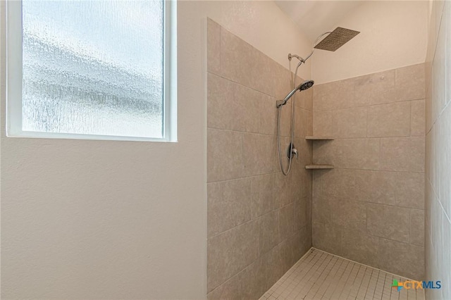 2824 Green Finch, New Braunfels, TX 78130 - bathroom featuring tiled shower