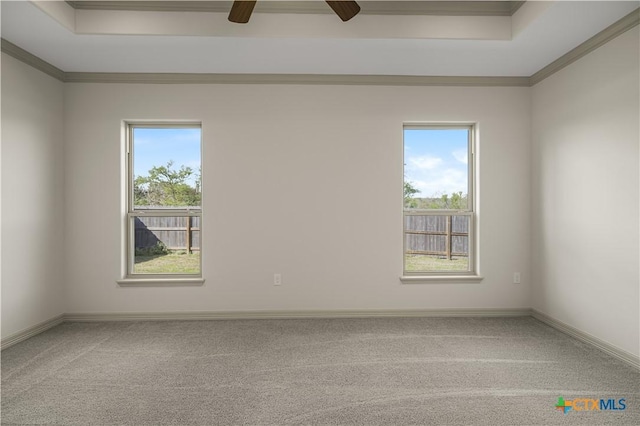 carpeted spare room with ceiling fan, a raised ceiling, and crown molding