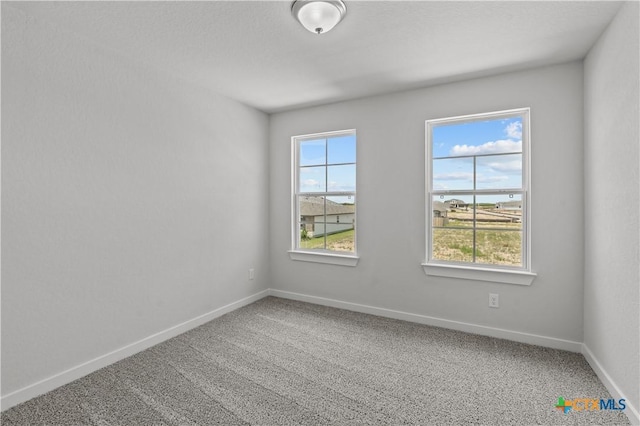 2046 Newforest Peak, New Braunfels, TX 78130 - photo 37