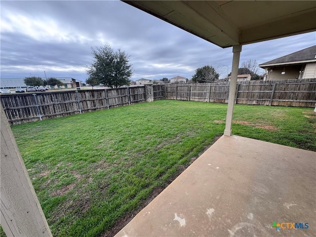 view of yard featuring a patio area