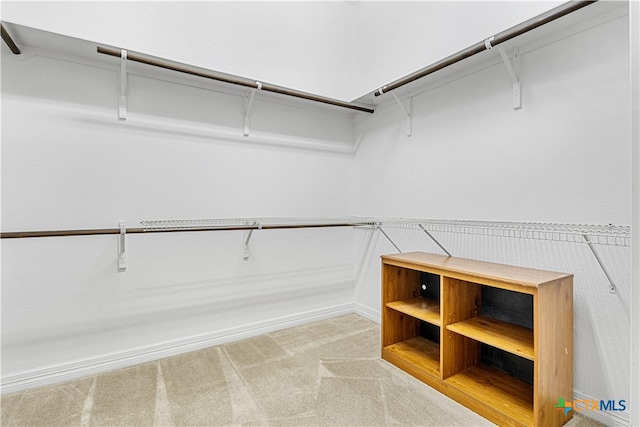 walk in closet with light colored carpet