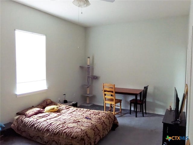 618 Pecos St, Lockhart, TX 78644 - bedroom with baseboards and carpet floors
