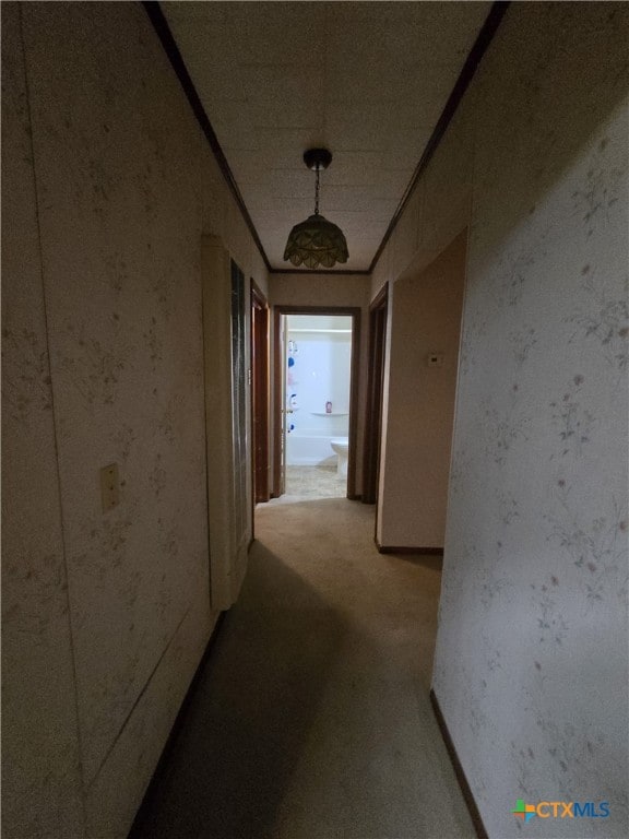 220 Davis Ave, Port Lavaca, TX 77979 - hall featuring carpet flooring