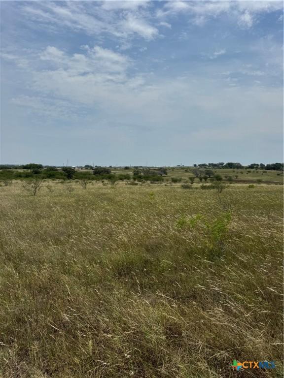 TBDTractD County Road 304, Smiley, TX 78159