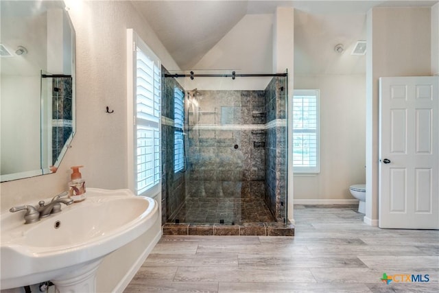 425 County Road 3830, San Antonio, TX 78253 - full bathroom with toilet, a shower stall, a sink, vaulted ceiling, and wood finished floors