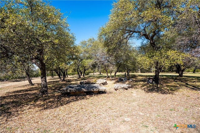 400 Indian Hills Rd, Gatesville, TX 76528 - photo 39