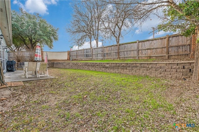 view of yard featuring a patio area