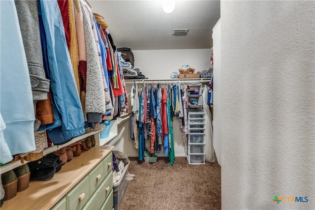 walk in closet with carpet