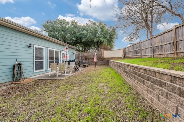 view of yard featuring a patio area