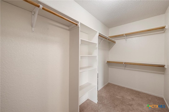 1007 Judy Ln, Copperas Cove, TX 76522 - walk in closet featuring carpet