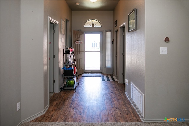 entryway featuring dark hardwood / wood-style flooring