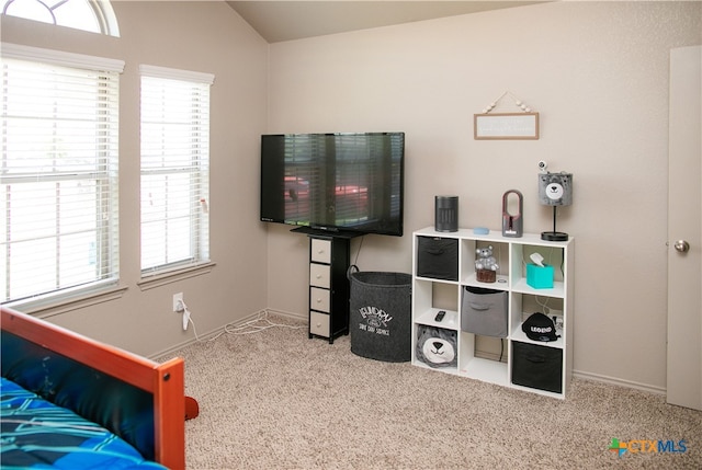 bedroom with lofted ceiling and carpet floors