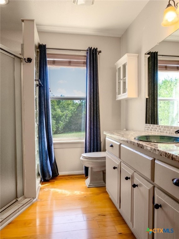 bathroom featuring hardwood / wood-style floors, a wealth of natural light, vanity, and an enclosed shower