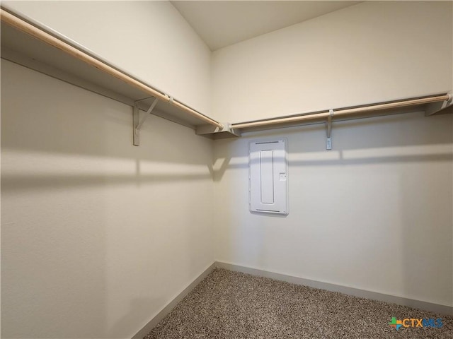 walk in closet featuring electric panel and carpet floors