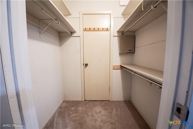 spacious closet with light carpet