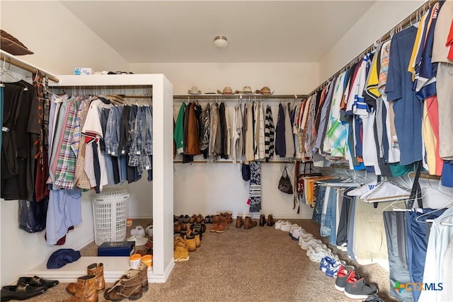 walk in closet featuring carpet floors