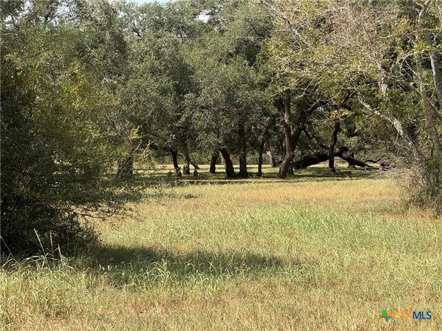 LOTS1-5 Burt St, Yoakum, TX 77995 - photo 9