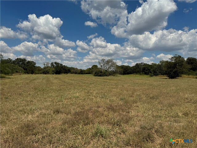 LOTS1-5 Burt St, Yoakum, TX 77995 - photo 6
