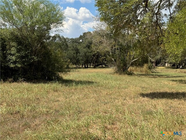 LOTS1-5 Burt St, Yoakum, TX 77995 - photo 7