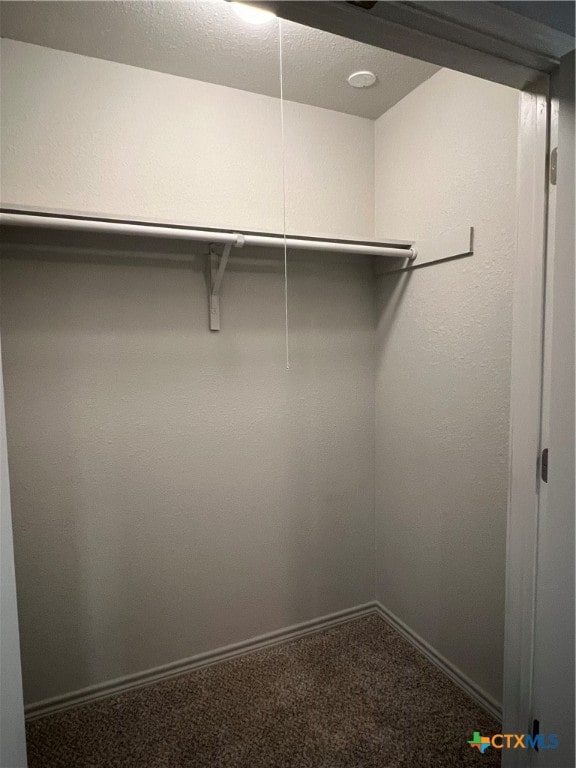 walk in closet featuring carpet