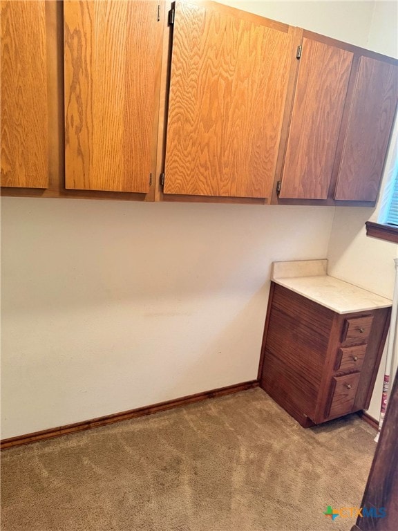 washroom featuring light colored carpet