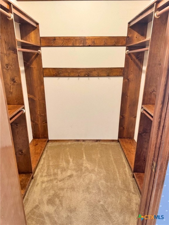 walk in closet with carpet floors