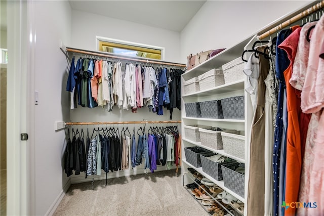 112 Oak Plaza Dr, Georgetown, TX 78628 - walk in closet featuring carpet flooring