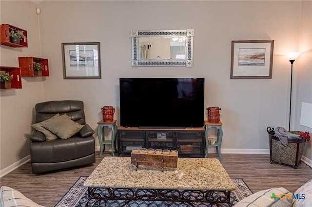 living room with wood-type flooring