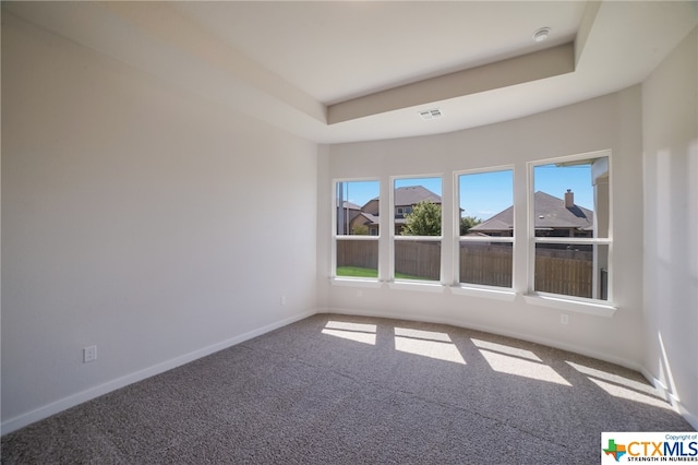 empty room featuring carpet flooring and a tray ceiling