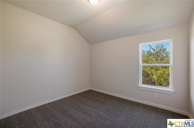 bonus room with carpet flooring and lofted ceiling