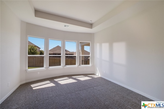 carpeted empty room with a raised ceiling