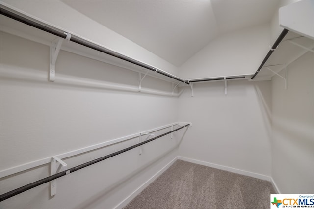 spacious closet with lofted ceiling and carpet