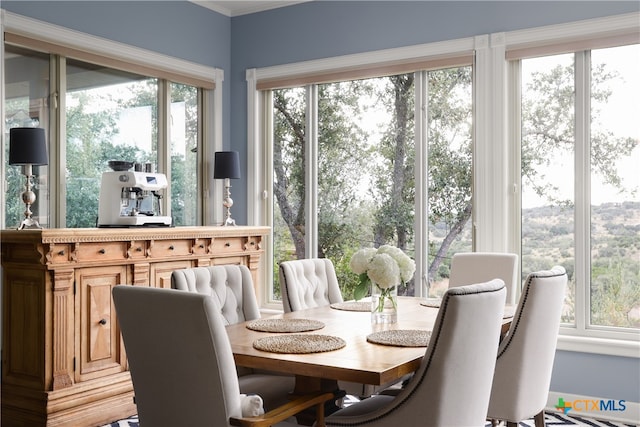 sunroom featuring a wealth of natural light