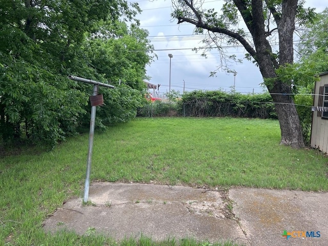view of yard