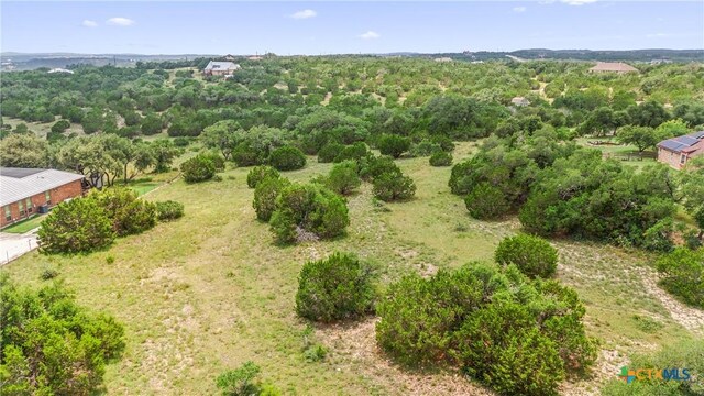 141 Vista View Pl, Spring Branch, TX 78070 - photo 28