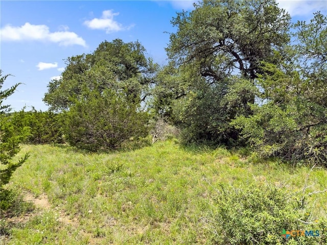 141 Vista View Pl, Spring Branch, TX 78070 - photo 2
