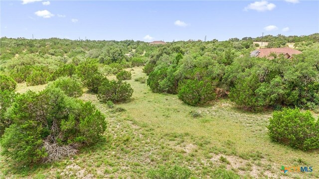 141 Vista View Pl, Spring Branch, TX 78070 - photo 23