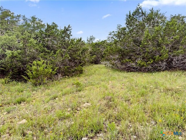 141 Vista View Pl, Spring Branch, TX 78070 - photo 13