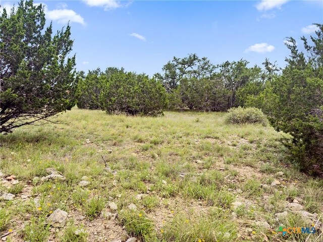 141 Vista View Pl, Spring Branch, TX 78070 - photo 11