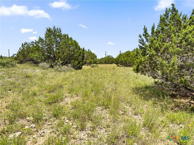 141 Vista View Pl, Spring Branch, TX 78070 - photo 14