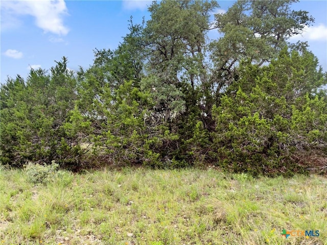 141 Vista View Pl, Spring Branch, TX 78070 - photo 1