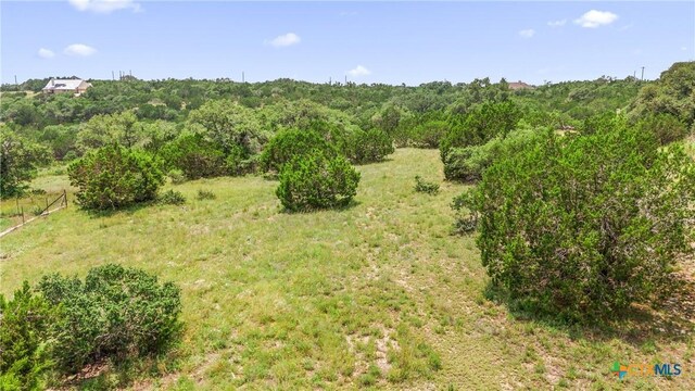 141 Vista View Pl, Spring Branch, TX 78070 - photo 25