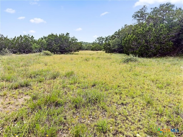 141 Vista View Pl, Spring Branch, TX 78070 - photo 7