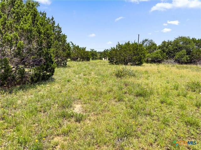 141 Vista View Pl, Spring Branch, TX 78070 - photo 16