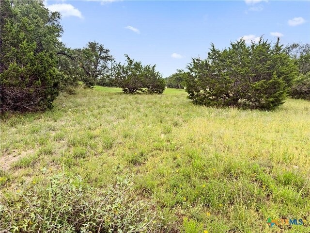 141 Vista View Pl, Spring Branch, TX 78070 - photo 8