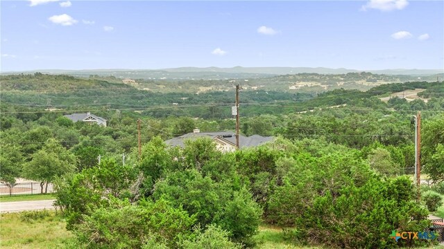141 Vista View Pl, Spring Branch, TX 78070 - photo 24