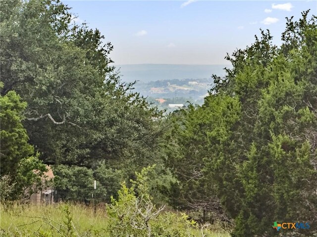 141 Vista View Pl, Spring Branch, TX 78070 - photo 9