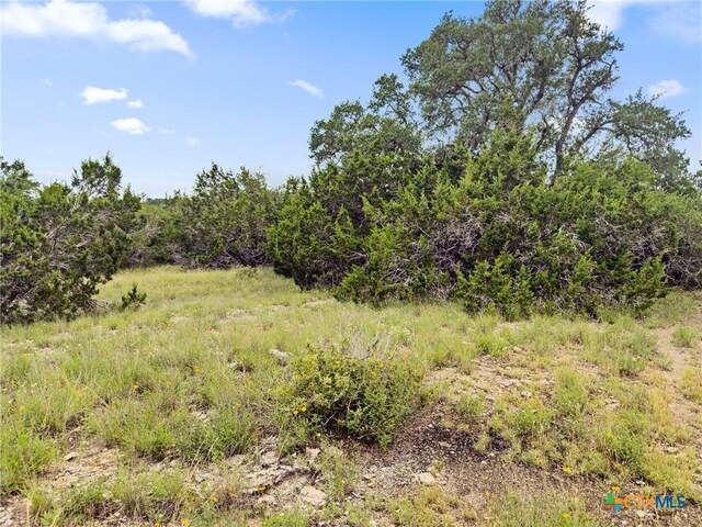 141 Vista View Pl, Spring Branch, TX 78070 - photo 10